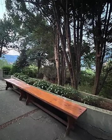 Szafrancowka Międzybrodzie Bialskie